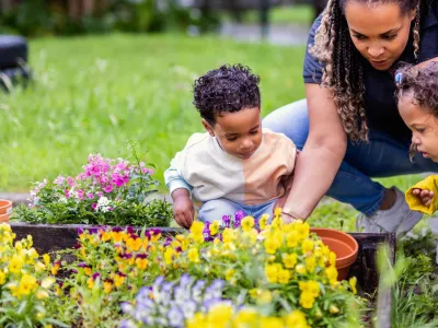 Korein Ruysdaelstraat (BSO)