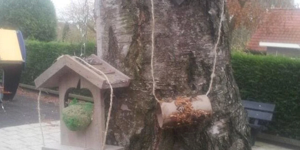 Home - Kleinschalige opvang in Streefkerk