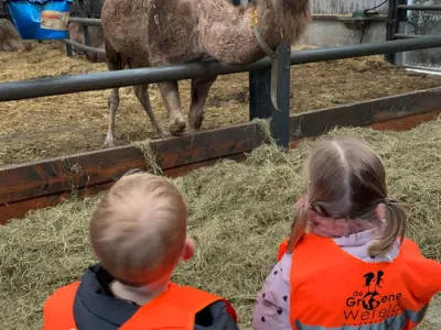 Kinderopvang De Groene Wereld