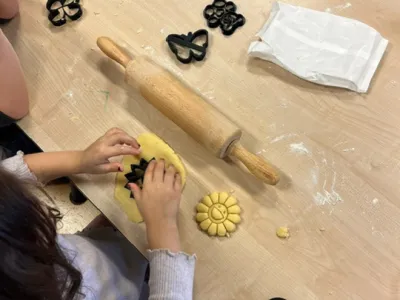 KDV Baloe Wormer