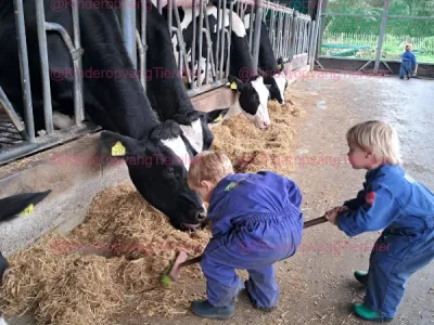 Kinderopvang Tierelier