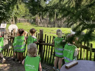 Doomijn POV Oranje Nassaulaan