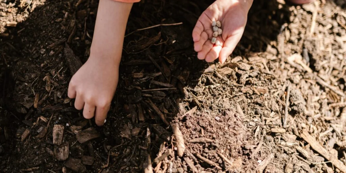 Moestuinieren met je kind: leerzaam en leuk!
