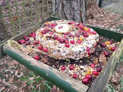 De Ontdektuin