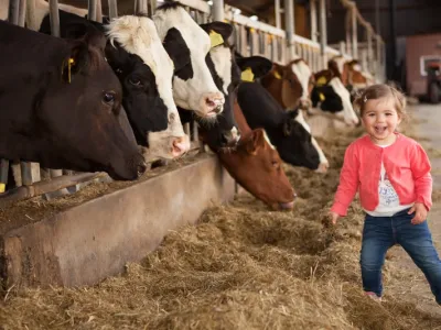 Kinderopvang Koetje Boe