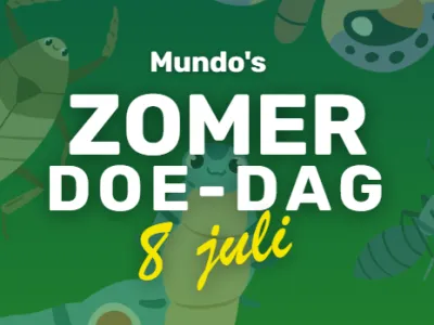 Het Windas 8+