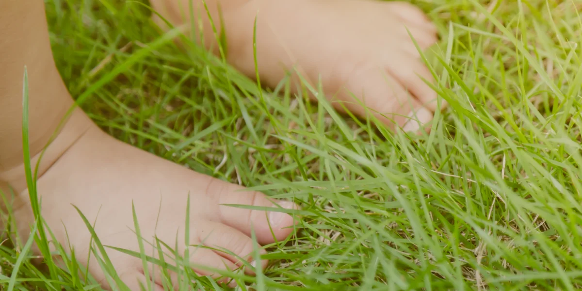 Eigen&Wijzer BSO Groene kinderopvang 't Werkel