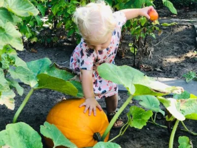 Kinderdagopvang Chapeau Hof van Oranje