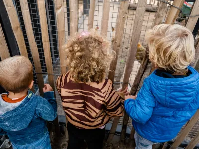 Kinderopvang de Boomgaard locatie van der Weijdenlaan B.V.