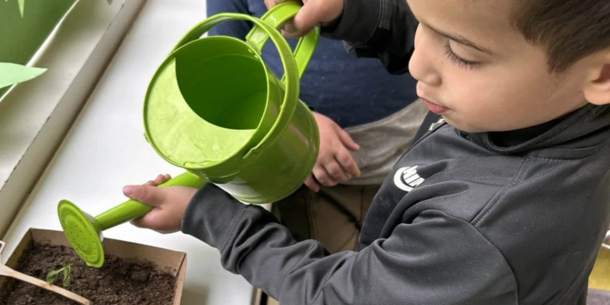 Kinderdagverblijf de Groene boomhut
