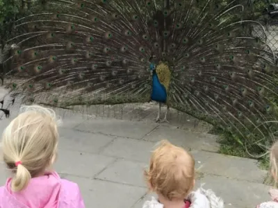 Het Tuinhuis Gouderak