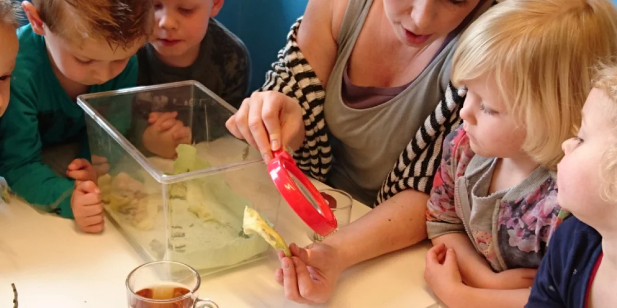 Peuteronderwijs