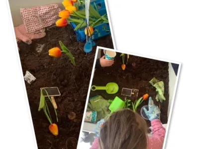 Peuteropvang De Vlinderboom