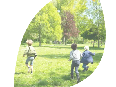 De Vlinderboom op school