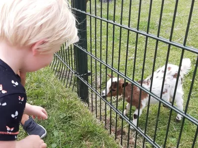 Kleinschalige Kinderopvang Roodkapje