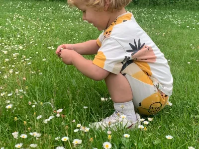Kinderdagverblijf De kleine Zeester Westendorp