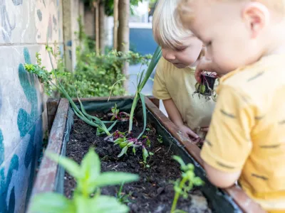 Kids and Carrots BSO aan de Vissershavenstraat