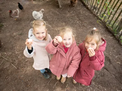 Bio Boerderij Pindakaas