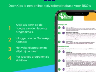 BSO Baloe Wormer