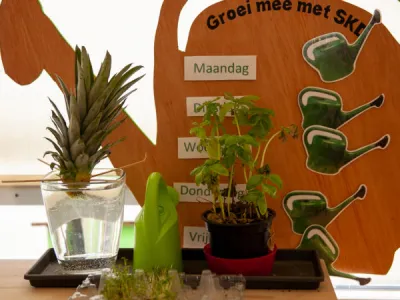 Vlinderstruik