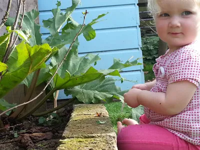 Onder de Perenboom