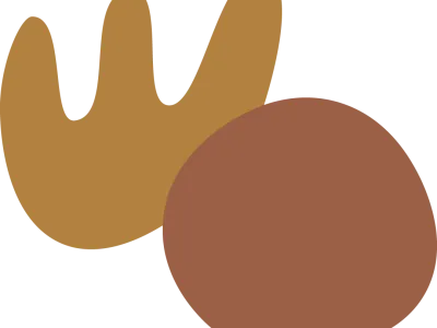 BSO Kindercentrum Baloo