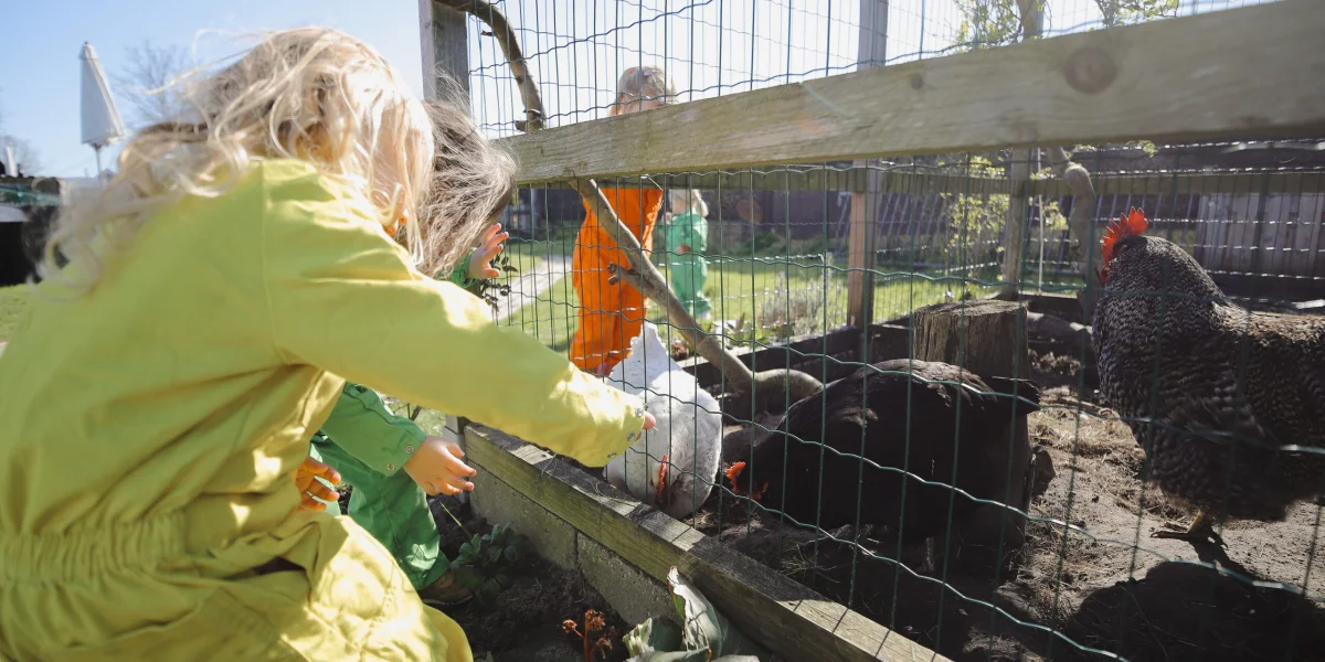 jongetje geeft plant water met gieter