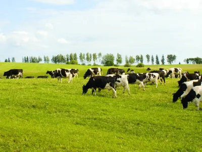 buitenschoolse opvang Natuurlijk Avontuurlijk