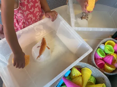 Doomijn PSZ Meidoornstraat