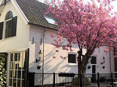 Helden Opvang Broekzijdselaan