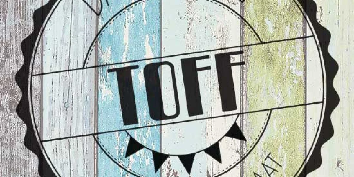 Dagopvang Toff