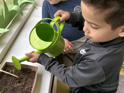 Kinderdagverblijf De Groene Boomhut