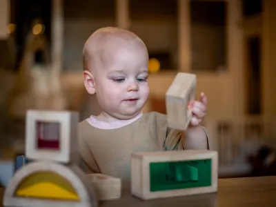 Singeltuin