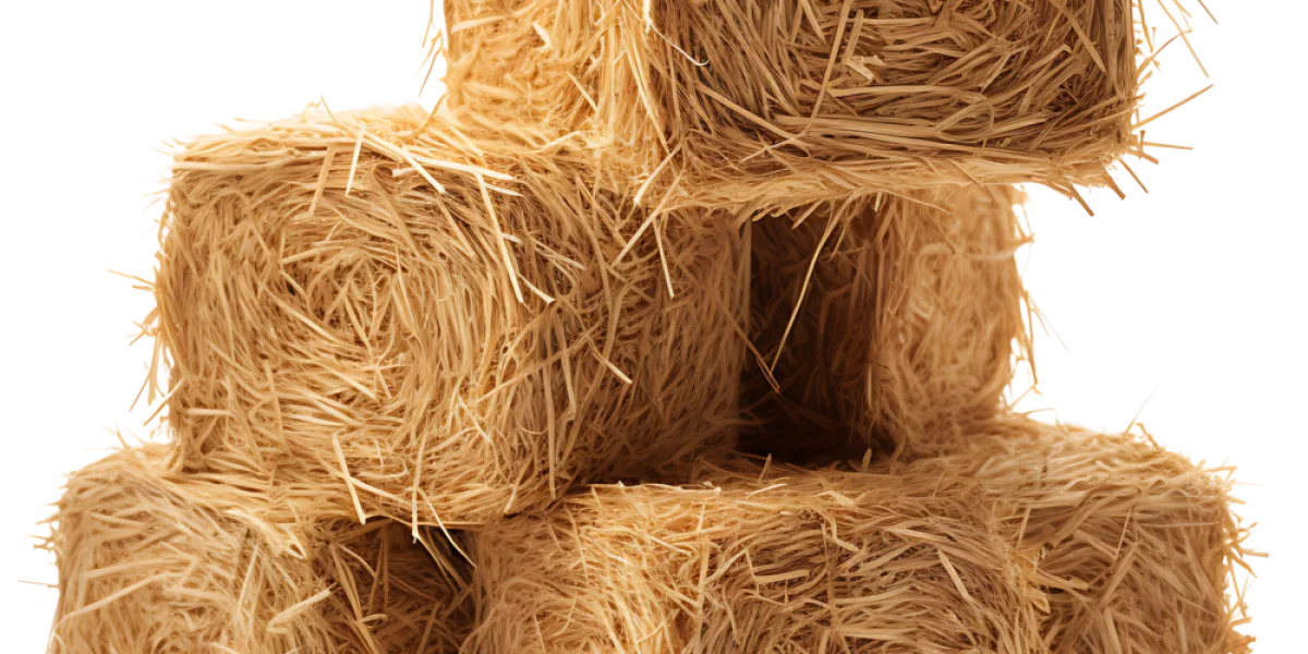 adobestock 631536665